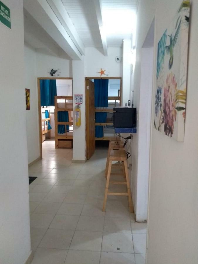 Hostal Palo Alto San Andrés Extérieur photo